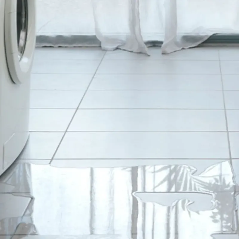 Appliance Leak Cleanup in Homer, NY